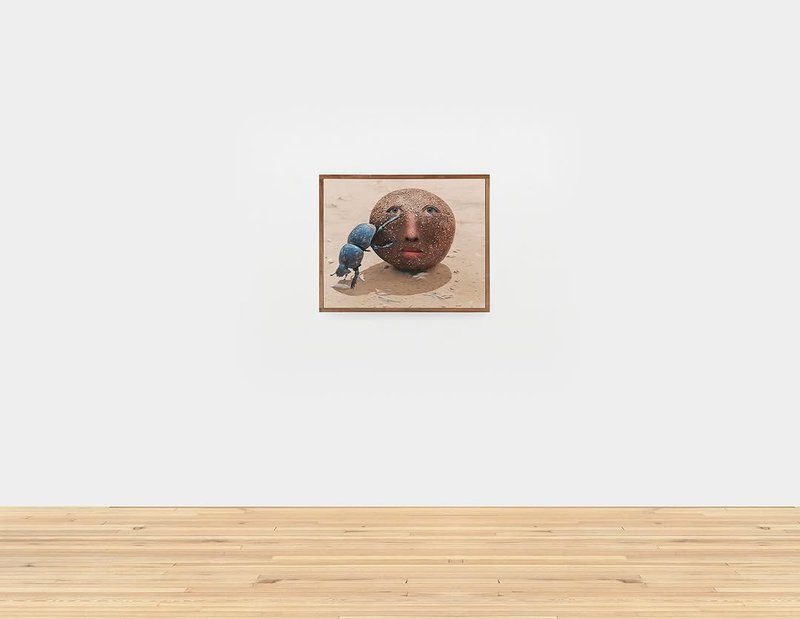 Gut Feelings (Trauma Dumps and Love Bombs), installation view