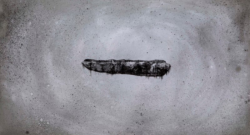 Atefeh Majidi Nezhad, Revision- Zoom Out, 2021