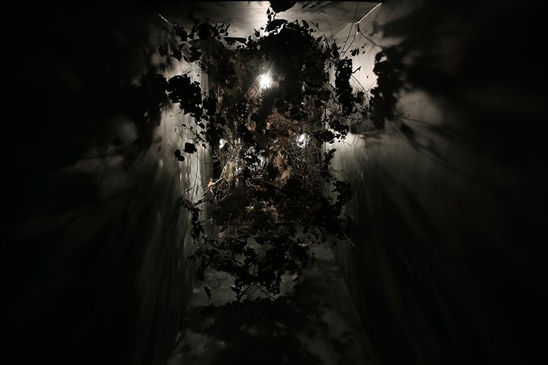 Shaqayeq Arabi, Untitled, 2017