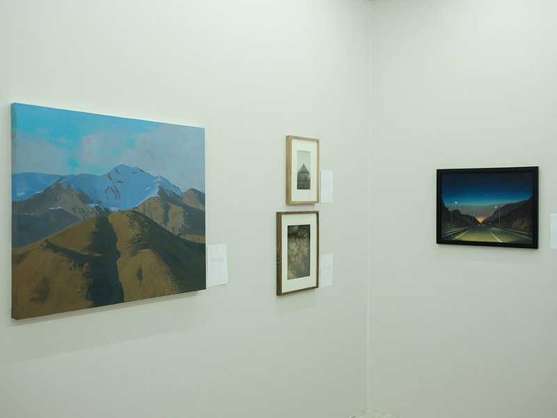 Perspective: The Painter, installation view