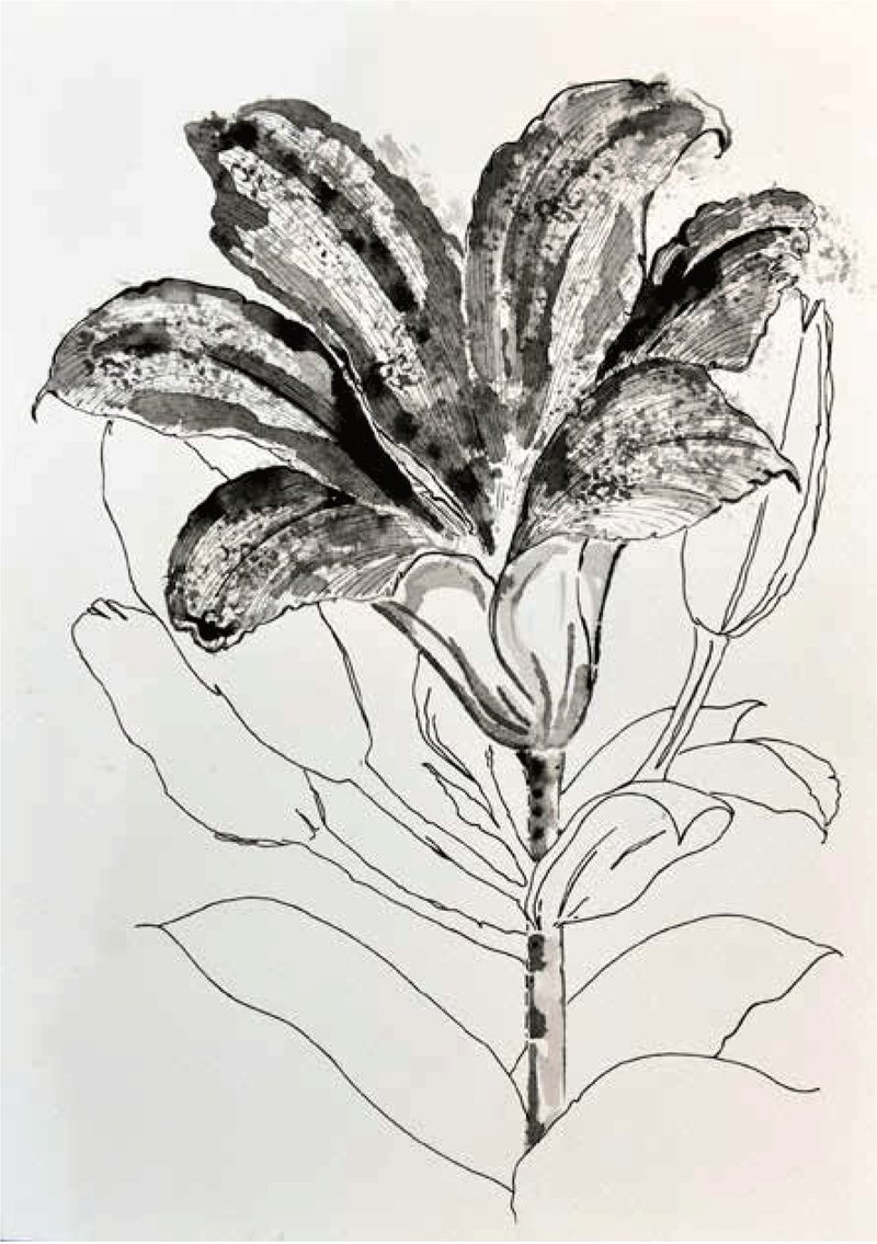 Shirin Karami Mofrad, Untitled, 2024