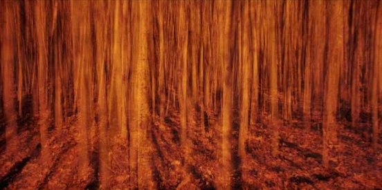 امیرحسین بی پروا، بدون عنوان، 1394