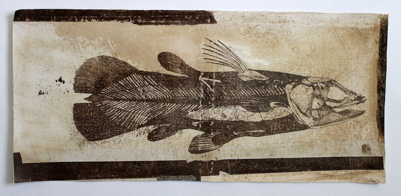 Kolsum Salehi, Untitled, 2020