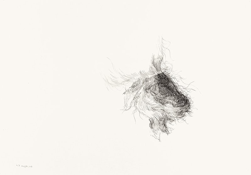 Reza Sedighian, Untitled, 2018