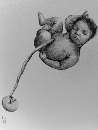 Sara Keshmiri, Untitled, 2021