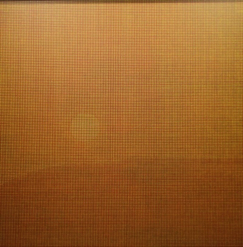 Yahya Gomar, Untitled, 2022