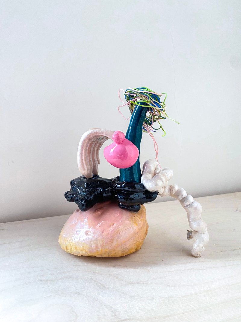 Ani Shahamati, Lick My Wound, 2025