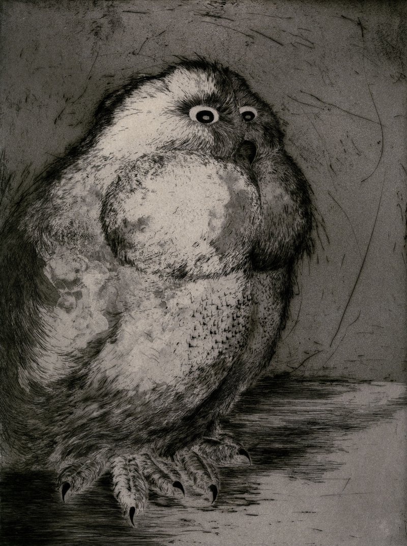 Marjan Seyedin, Untitled, 2016