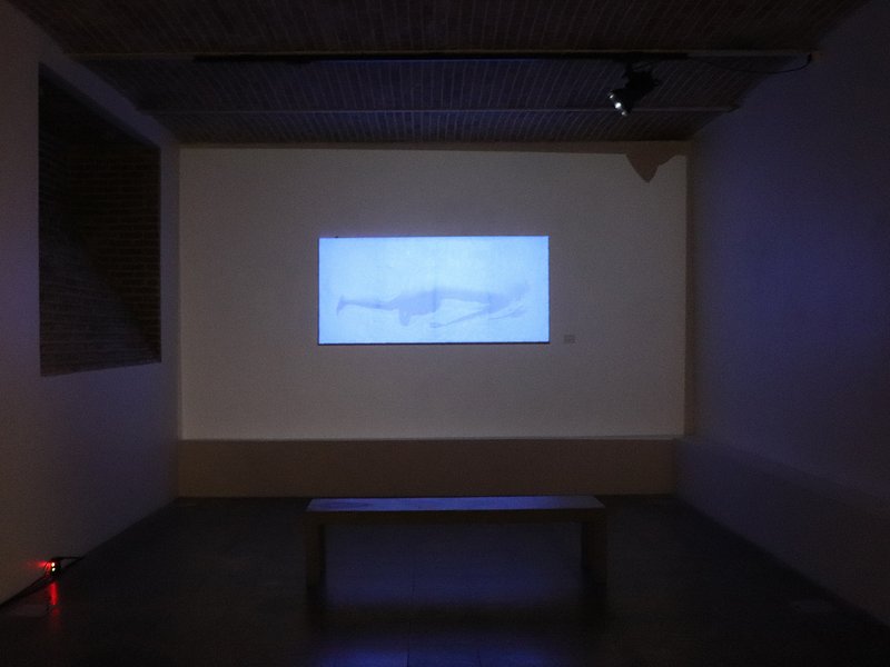 Current\ Action\ Expansion, installation view