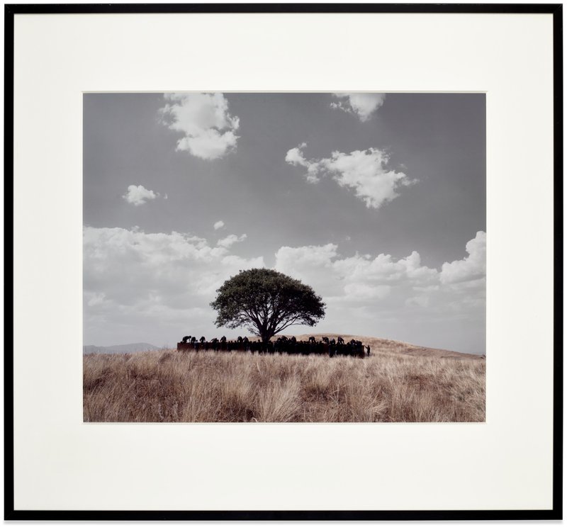 Shirin Neshat, Untitled (Tooba), 2002