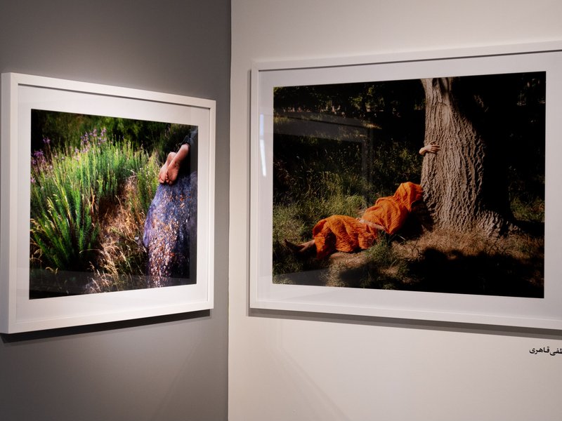 The Nap, installation view