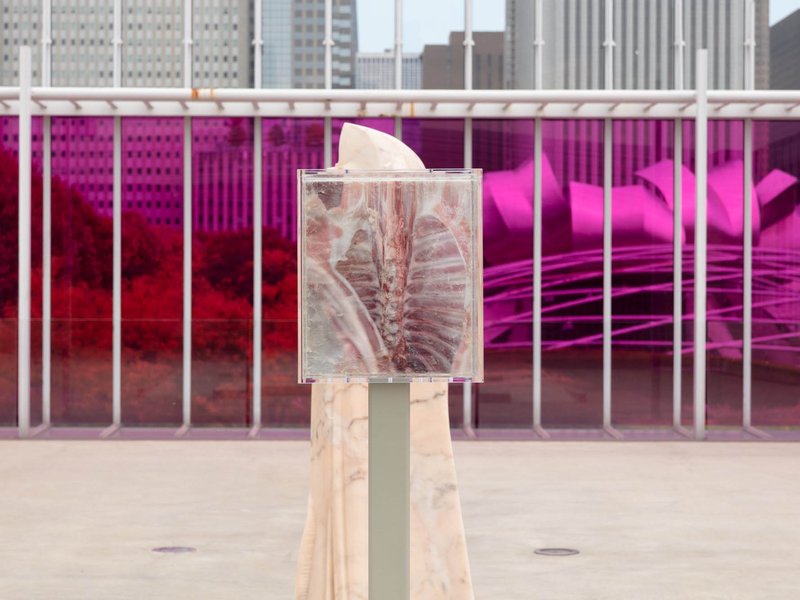 Raw Is The Red, installation view
