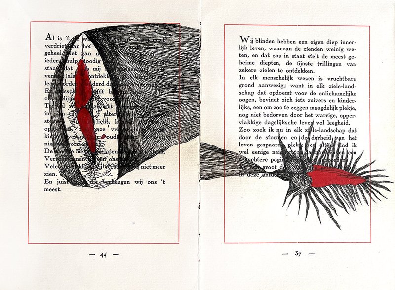 Soha Kabiri, Untitled, 2018