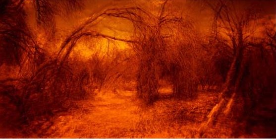 امیرحسین بی پروا، بدون عنوان، 1394
