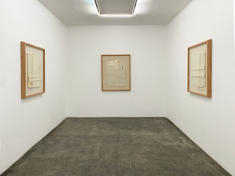 Vexilloid, installation view