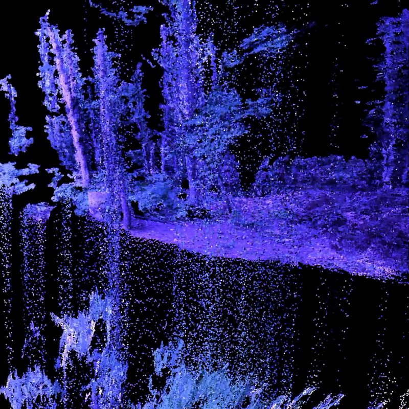 Ali Phi, Agnosia-4, 2021