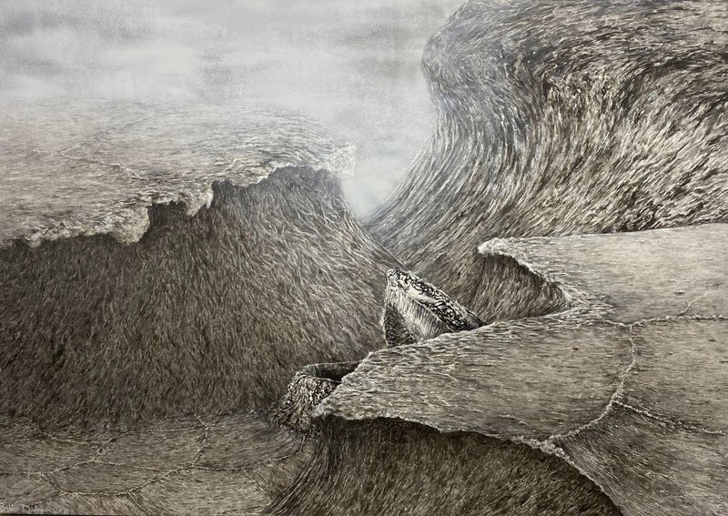 Bahar Didgah, Untitled, 0