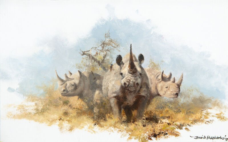 David Shepherd, Rhinos, 1999
