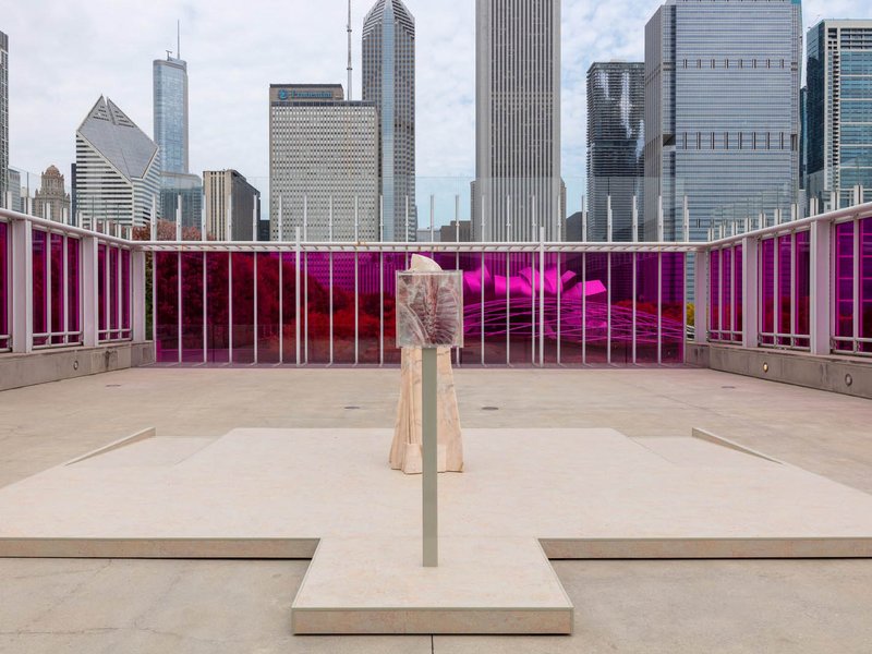 Raw Is The Red, installation view