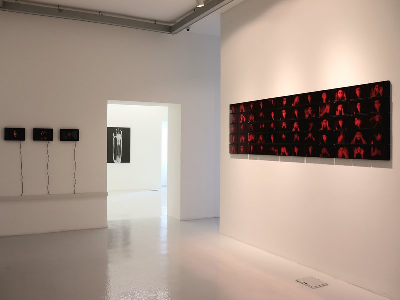 Living Creature, installation view