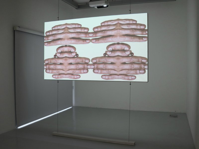 Living Creature, installation view