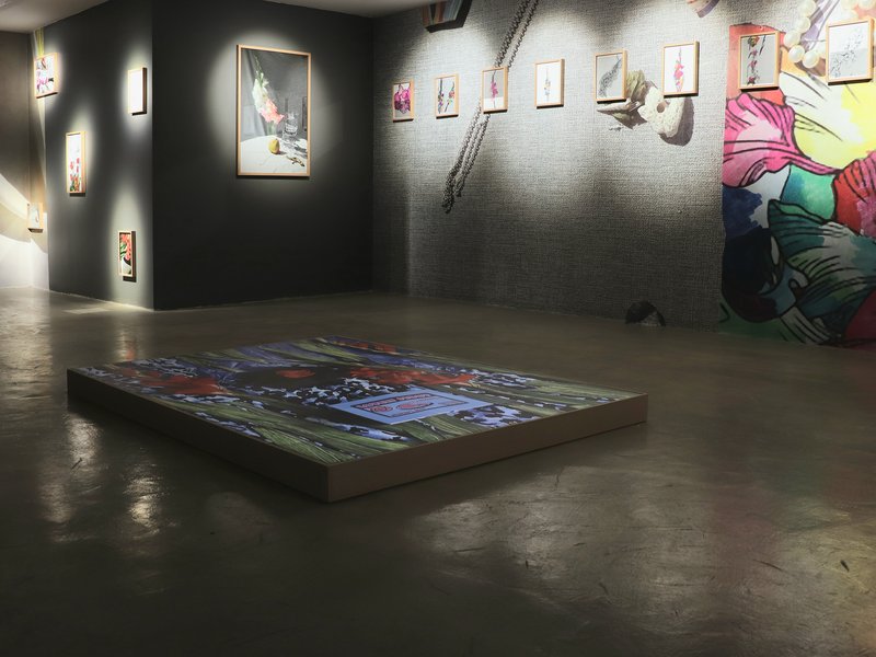 Tulip, installation view
