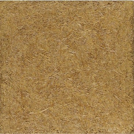 مارکو گریگوریان، بدون عنوان، 1350