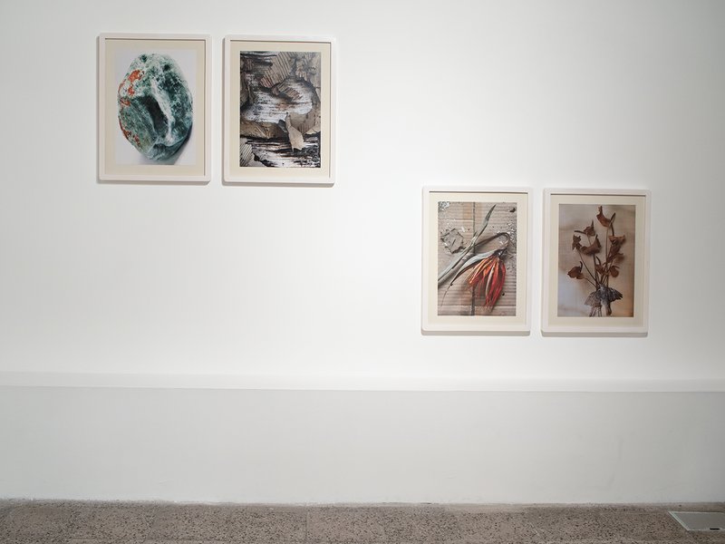 The Shadow Dosen't Hide The Light, installation view