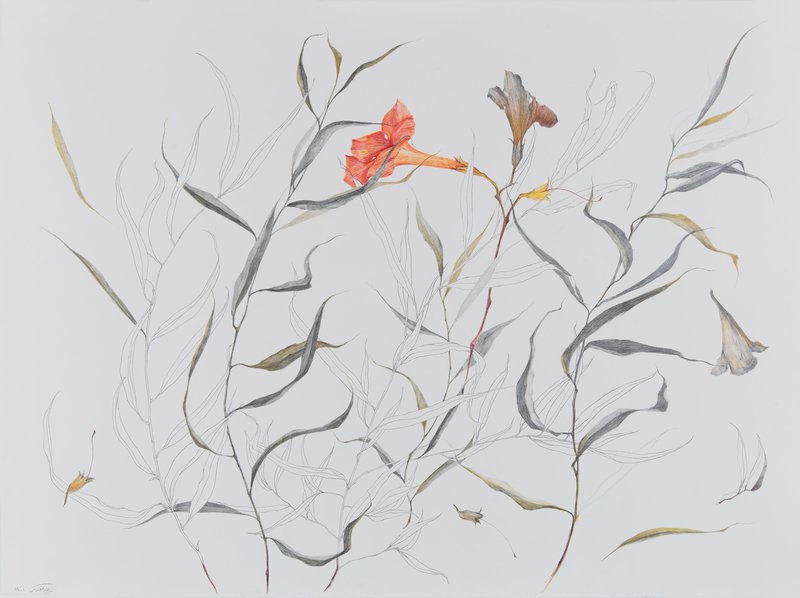 Nazila Moghadam, Untitled, 2022