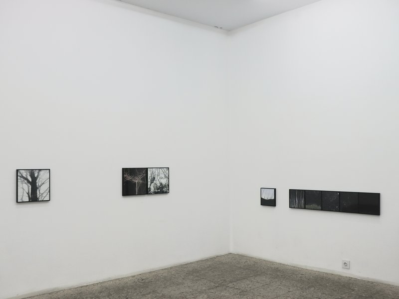 Pondering Upon You Anew? Being Pondered Upon Anew?, installation view
