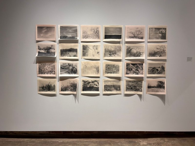 Land, Body & Archive, installation view