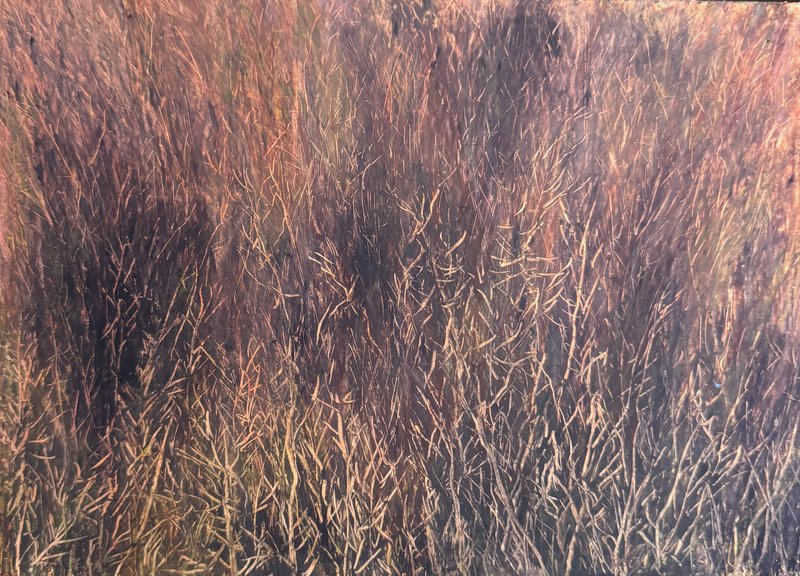 Sara Khaleghi, Untitled, 2024