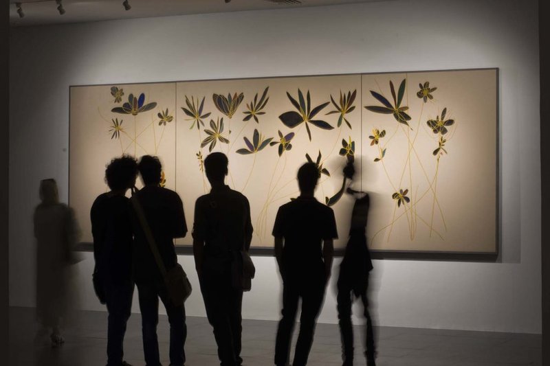 گل گاوزبان، نمای چیدمان