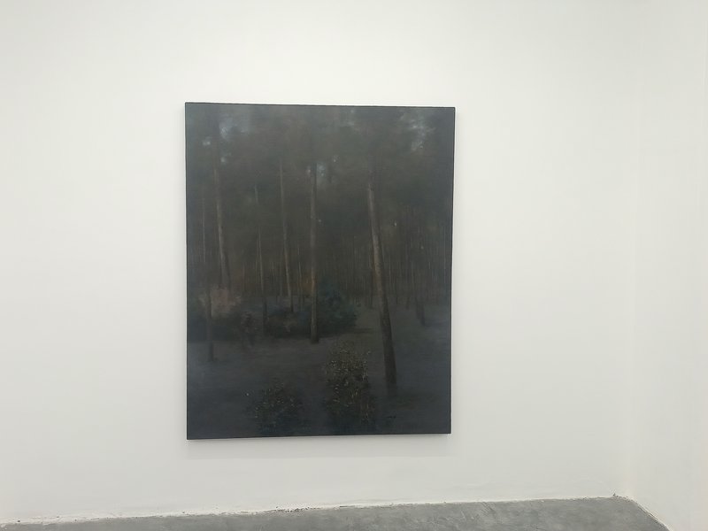 Dust, installation view