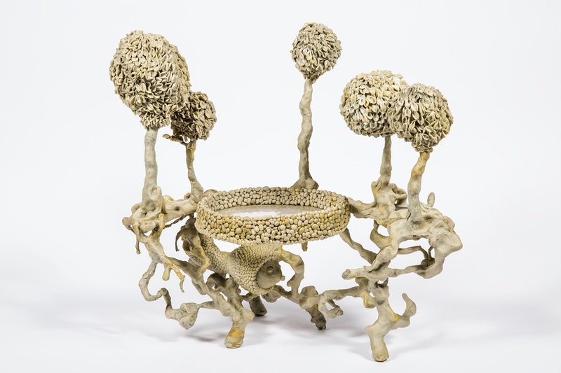 Pantea Rahmani, Bonsai Tree 1, 2016