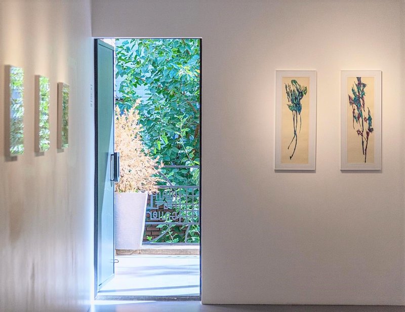 Leaflessness, installation view