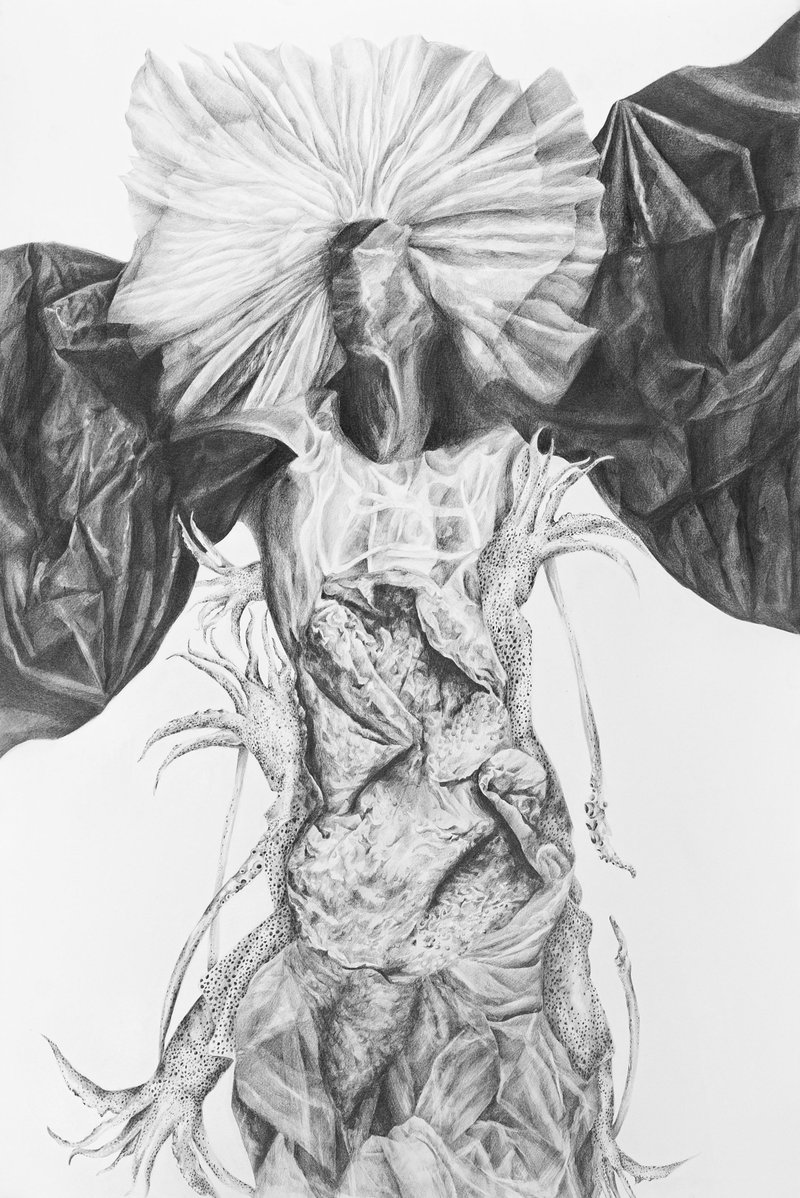 Tara Azarm, Untitled, 2024