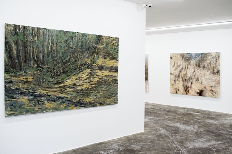 Dustland, installation view