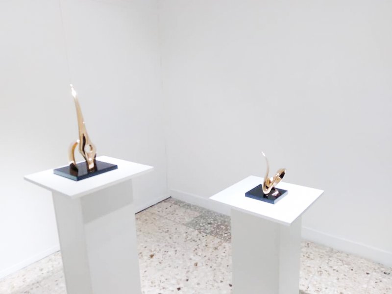 The Animal Illusion, installation view