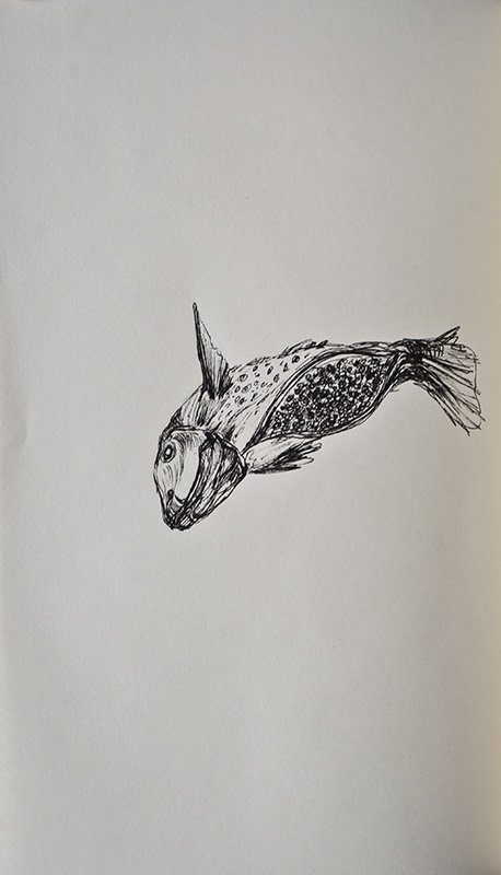Ramtin Zad, Caviar, 2012