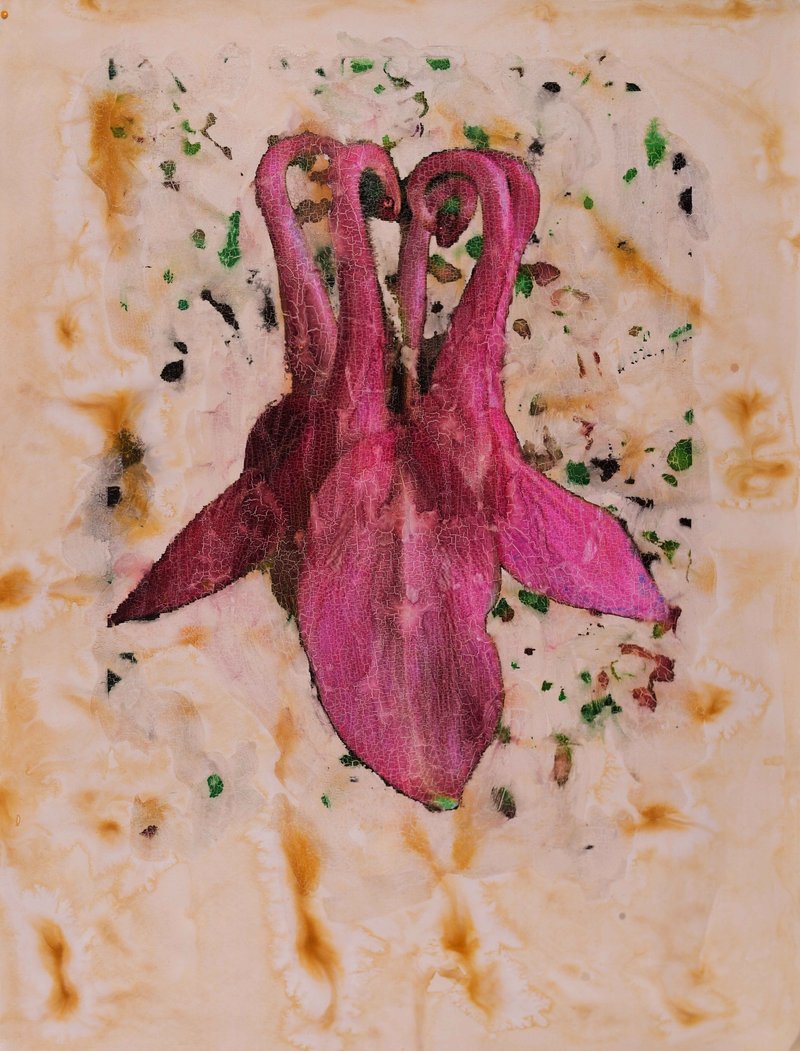 Mehrdad Pournazarali, Untitled, 2025