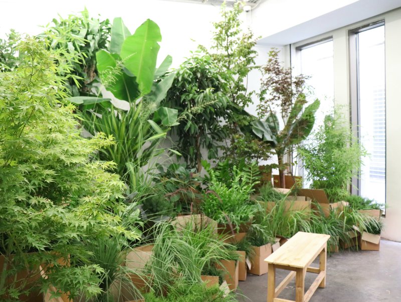 Gather and Graft, installation view