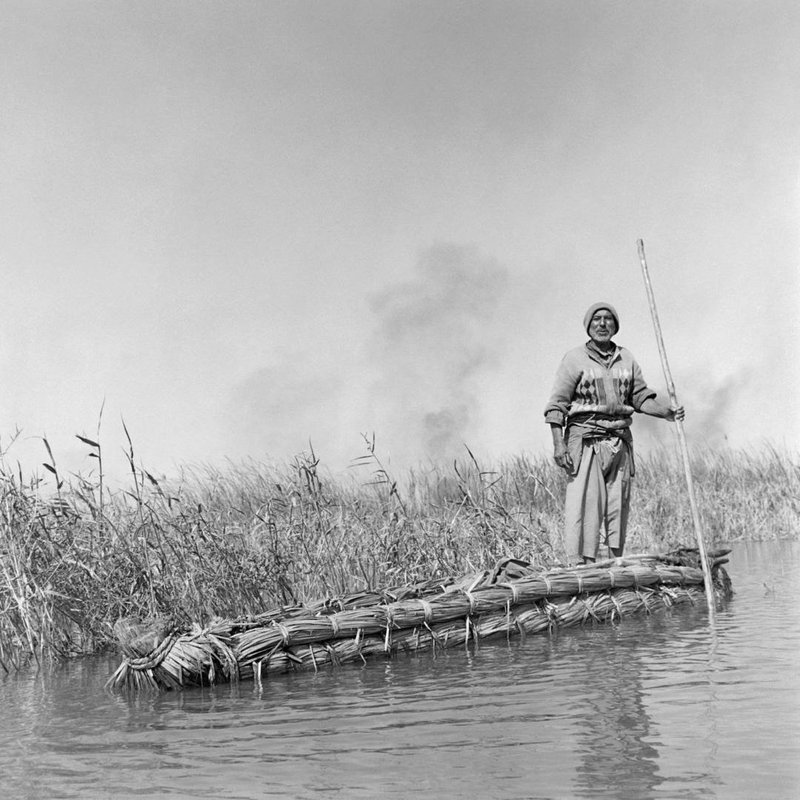 Sasan Moayyedi, When Hamon Was a Lake, 1981