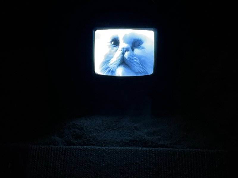 Awaiting Oblivion, installation view