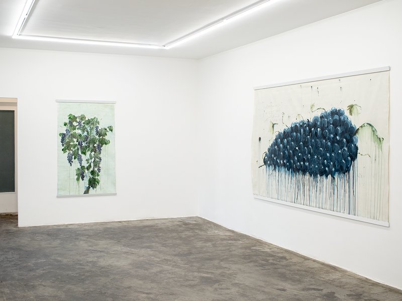 I Made Wine and It Turned To Grapes, installation view