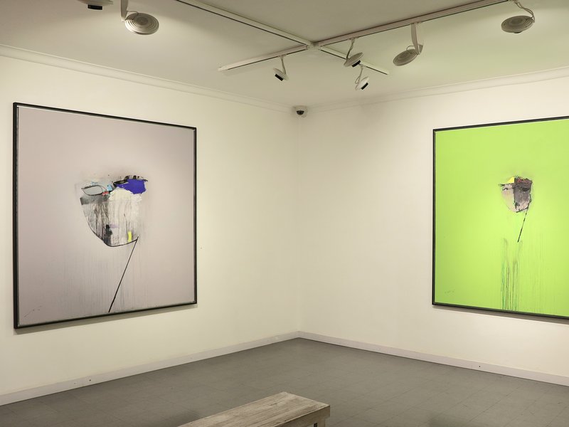 Installation view.