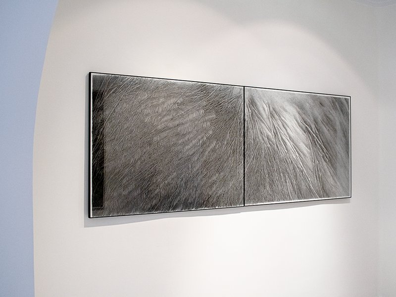 Naturae, installation view