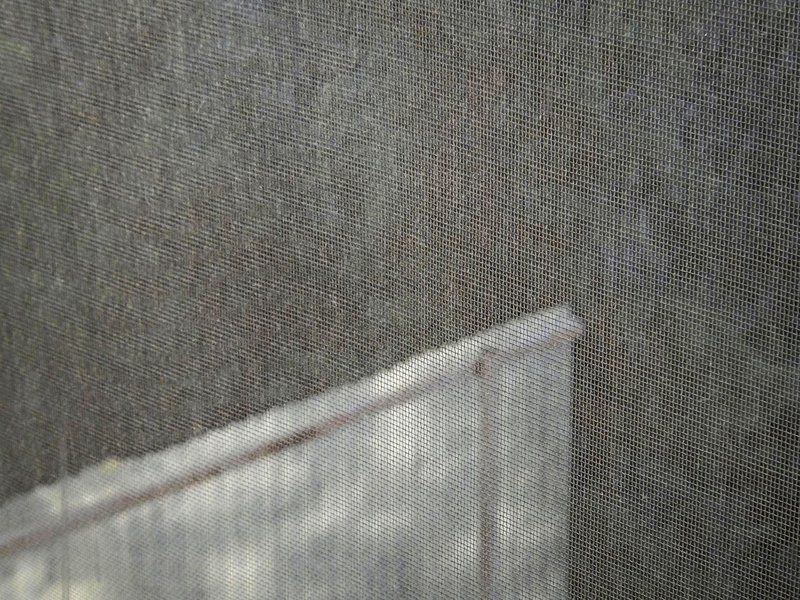 Mehran Mohajer, Shield, 2012