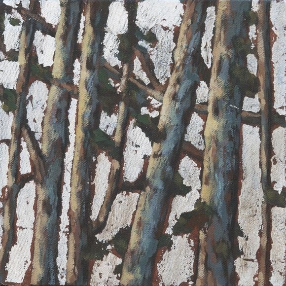 Saghar Pezeshkian, Untitled, 0