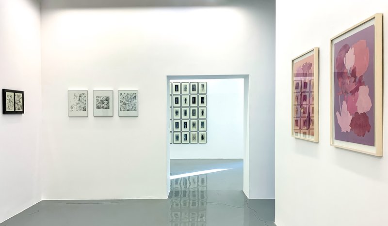 A Review of Kazhal Fakhri's "Indefinite Tokens"